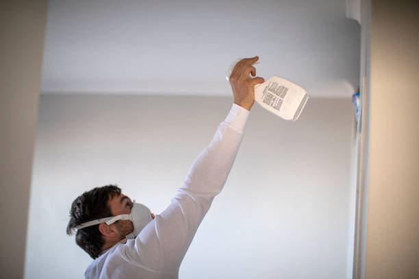 Best Water Damage Restoration  in Monongah, WV